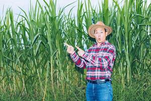 Ein asiatischer Bauer in einem karierten Hemd steht auf einem Feld. foto