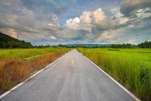 Straße mitten in den Reisfeldern foto