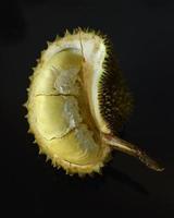 Durian halbiert auf schwarzem Hintergrund. foto