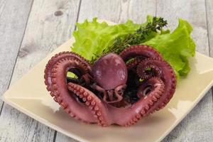 gekochter Oktopus mit Kräutern foto