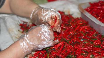 rote Chilischoten aus nächster Nähe, rote Chilis im Supermarkt foto