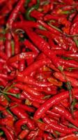 rote Chilischoten aus nächster Nähe, rote Chilis im Supermarkt foto