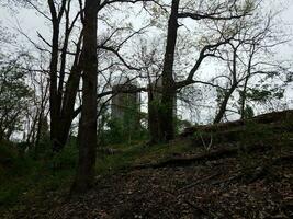 alte verlassene landwirtschaftliche Silos und Bäume und Äste foto