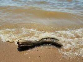 Sand mit Wellen und Felsen und Treibholz foto