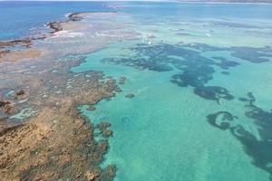 luftaufnahme der riffe von maragogi, umweltschutzgebiet korallenküste, maragogi, alagoas, brasilien. foto