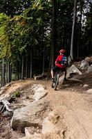 Mountainbiker beim Radfahren im Herbstwald