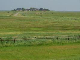 hallig hooge in der deutschen nordsee foto