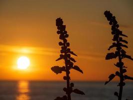 Sonnenuntergang am Strand von Ofzingst foto