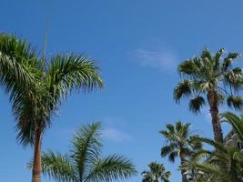 Insel Teneriffa in Spanien foto