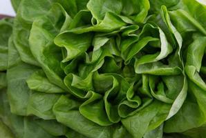 grüne Salatblätter foto