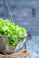 frischer grüner Salat