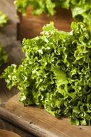 frischer gesunder organischer grüner Blattsalat foto