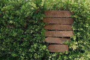 hölzernes hinweisschild auf tropischem grünem garten foto