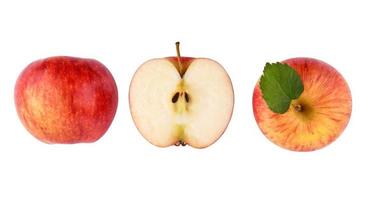 Draufsicht auf Gala-Äpfel isolieren auf weißem Hintergrund foto