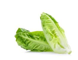 frisches Baby Lattich, Salat isoliert auf weißem Hintergrund foto