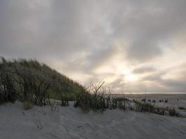 die insel jusit in deutschland foto