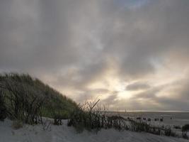 die insel jusit in deutschland foto