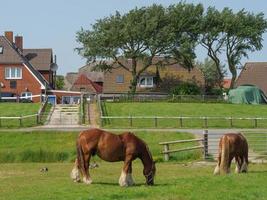 hallig hooge in der deutschen nordsee foto