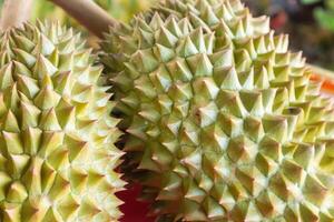 Nahaufnahme der frischen Durian-Textur in Thailand foto