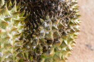 Nahaufnahme des Problems mit faulem Durian-Weißschimmel foto