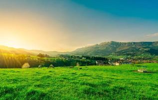 Herde von Kühen, die auf der Wiese mit schönem blauem Himmel und Morgensonne grasen. Kuhfarm. tierische Weide. landschaft mit grüner wiese und berg in der nähe des dorfes. Wiese im Frühjahr. foto