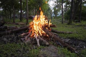 Lagerfeuerwald - Feuercamping brennendes Holz foto