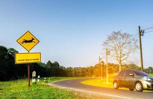 Öko-Auto des Touristen, der während der Fahrt auf einer asphaltierten Kurve in der Nähe des gelben Verkehrsschilds mit Vorsicht fährt, wobei Hirsche in das Schild springen und die Meldung "Achtung Wildtierkreuzung" haben. klarer blauer Himmel. foto