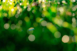 verschwommenes frisches grünes Grasfeld am frühen Morgen. grüner urlaub mit bokeh hintergrund im frühjahr. Natur Hintergrund. saubere Umwelt. grüner bokeh abstrakter hintergrund mit morgensonnenlicht. foto