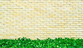 Gelber und weißer leerer Rahmen aus rauer Ziegelwand, verziert mit grünen Blättern am unteren Rand des Rahmens. Außen- oder Innenwand des Vintage-Hauses mit grünem Buschzaun. Architektur gelber Hintergrund foto