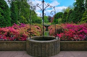 Schöner Brunnen mit rosafarbenen Azaleenblumen im Keukenhof-Park, Lisse, Holland foto