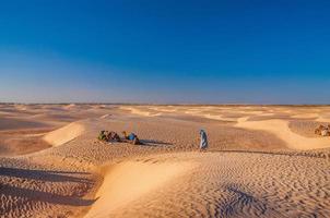 menschen und kamele in der sahara-wüste, tunesien, nordafrika foto