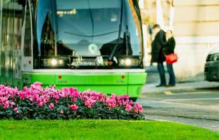 rosafarbene Blumen im Garten auf Verkehrsinsel auf Unschärfe Stadtbahn fährt auf Straßenbahngleis auf öffentlicher städtischer Straße und Menschen. moderner Verkehr in Europa. elektrisches Fahrzeug. grüner Verkehr. nachhaltig reisen. foto