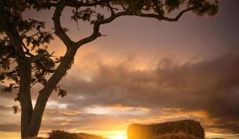 Silhouettenbaum in der Nähe von trockenem Strohballen in der Abenddämmerung mit orangefarbenem Sonnenuntergangshimmel und Wolken. Haufen gestapelter gelber Strohballen im landwirtschaftlichen Betrieb. schöner sonnenuntergangshimmel. Schönheit in der Natur. Wolkengebilde. foto