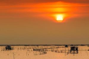 schöne sonne im sommer. Sonnenuntergangshimmel über dem Meer, Fischerhütte und Mangrovenwald am Abend. Bambusstange an der Küste. Bambusstickerei, um die Welle zu verlangsamen und die Küstenerosion zu verhindern. foto