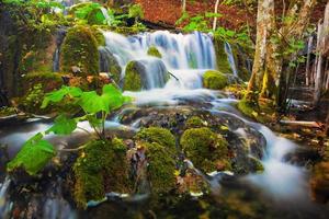 Wasserfall im Wald. kristallklarem Wasser. foto