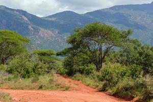 rote Grundstraße, Busch mit Savanne. Tsavo West, Kenia, Afrika foto