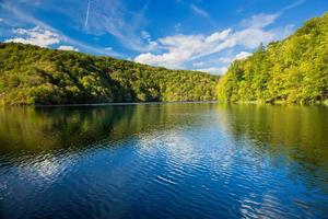 See im Wald. kristallklarem Wasser. foto