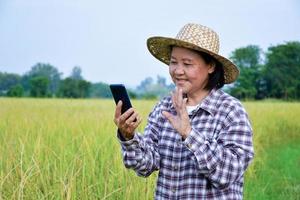 porträt eines asiatischen seniorenbauern, der ein smartphone in der hand hält und es verwendet, um sich mit anderen menschen mitten im reisfeld zu verbinden, intelligente geräte im täglichen leben aller allgemeinen menschenkonzepte. foto