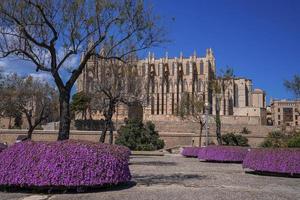 blick auf die mittelalterliche la seu kathedrale vom park aus gesehen gegen den blauen himmel foto