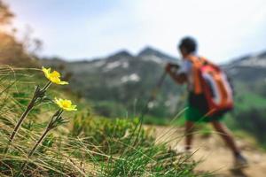 Bergblumen mit kleinem Jungen auf einer Wanderung foto