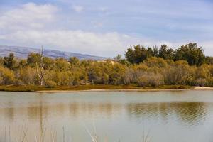 Oase in den Dünen von Maspalomas foto