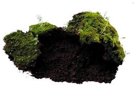 grünes Moos mit Schmutz oder Erde isoliert auf weißem Hintergrund foto