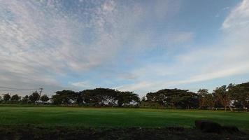 Panoramalandschaft mit grünen Bäumen und blauem Himmel foto