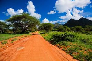 rote Grundstraße, Busch mit Savanne. Tsavo West, Kenia, Afrika foto