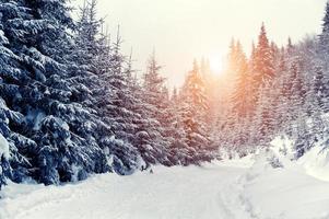 Winterlandschaft foto