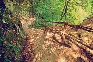 Waldweg, Sonnenschein foto