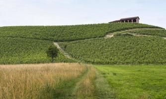 Monferrato (Piemont): Landschaft