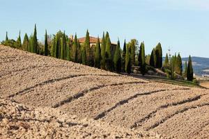 toskanische landschaft. Feld, Bauernhaus zwischen Zypressen. Italien foto