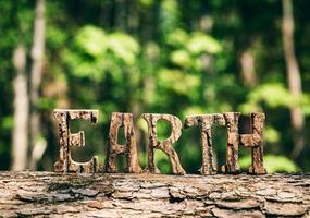 Erdschrift aus Holzbuchstaben im Wald foto