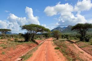 rote Grundstraße, Busch mit Savanne. Tsavo West, Kenia, Afrika foto